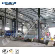 20 ton tube ice maker+20ton cold room with fully automatic ice packer